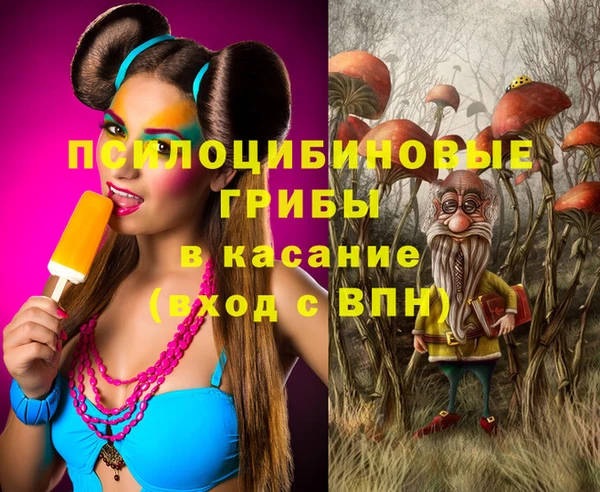гидропоника Алексин