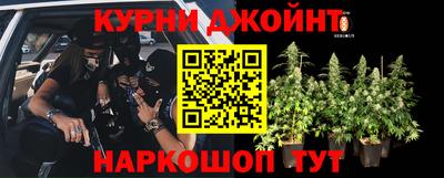 гашиш Гусев