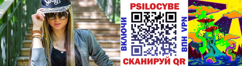 Псилоцибиновые грибы Magic Shrooms  купить  цена  гидра ссылки  Моздок 