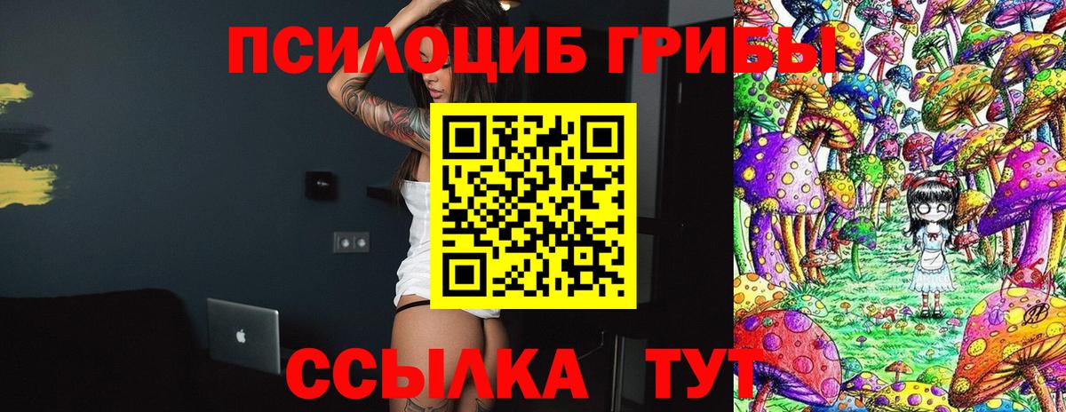 как найти закладки  Галлюциногенные грибы прущие грибы  Вход с VPN  Моздок 
